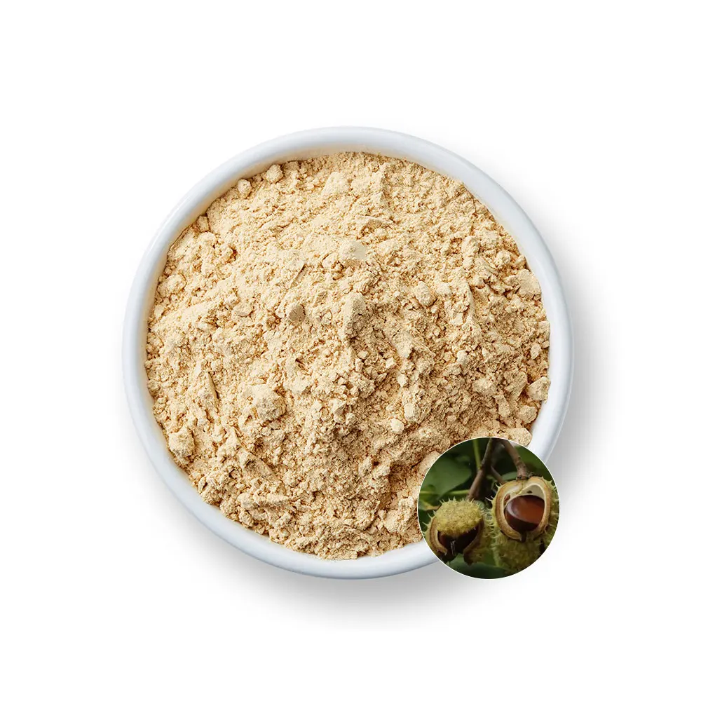 Organic Horse Chestnut Extract Herbal Extract Natural Horse Chestnut Extract Powder