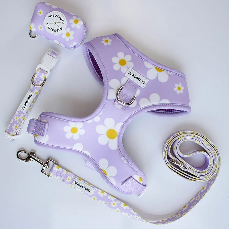 Low Price Manufacturers Luxury Designer Custom Print Personalized No Pull Neoprene Pet Cat Dog Harness Leash Lead Collar Set