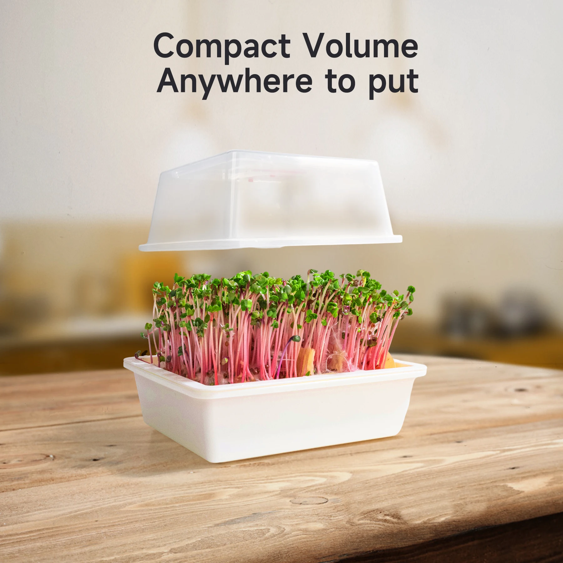 J&C Seed Sprouting Tray BPA Free Nursery Tray Microgreens Growing Trays Wheatgrass Grower Sprouting Container Seed Germination