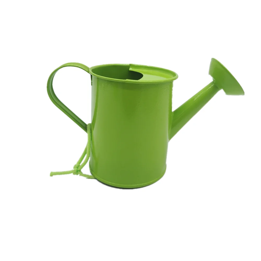 children nature explore flower tree planting hobby tool toys kit set metal bucket for
