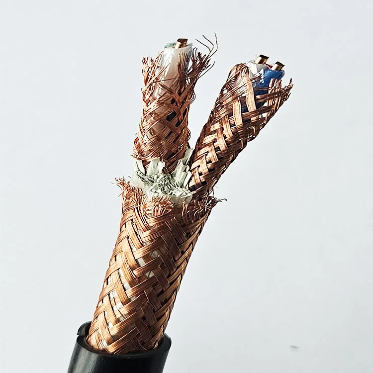 DJY(P)VP 300/500V 0.5-24mm2 Copper Core XLPE Insulated Copper Wire Braided Shielding Computer Cable