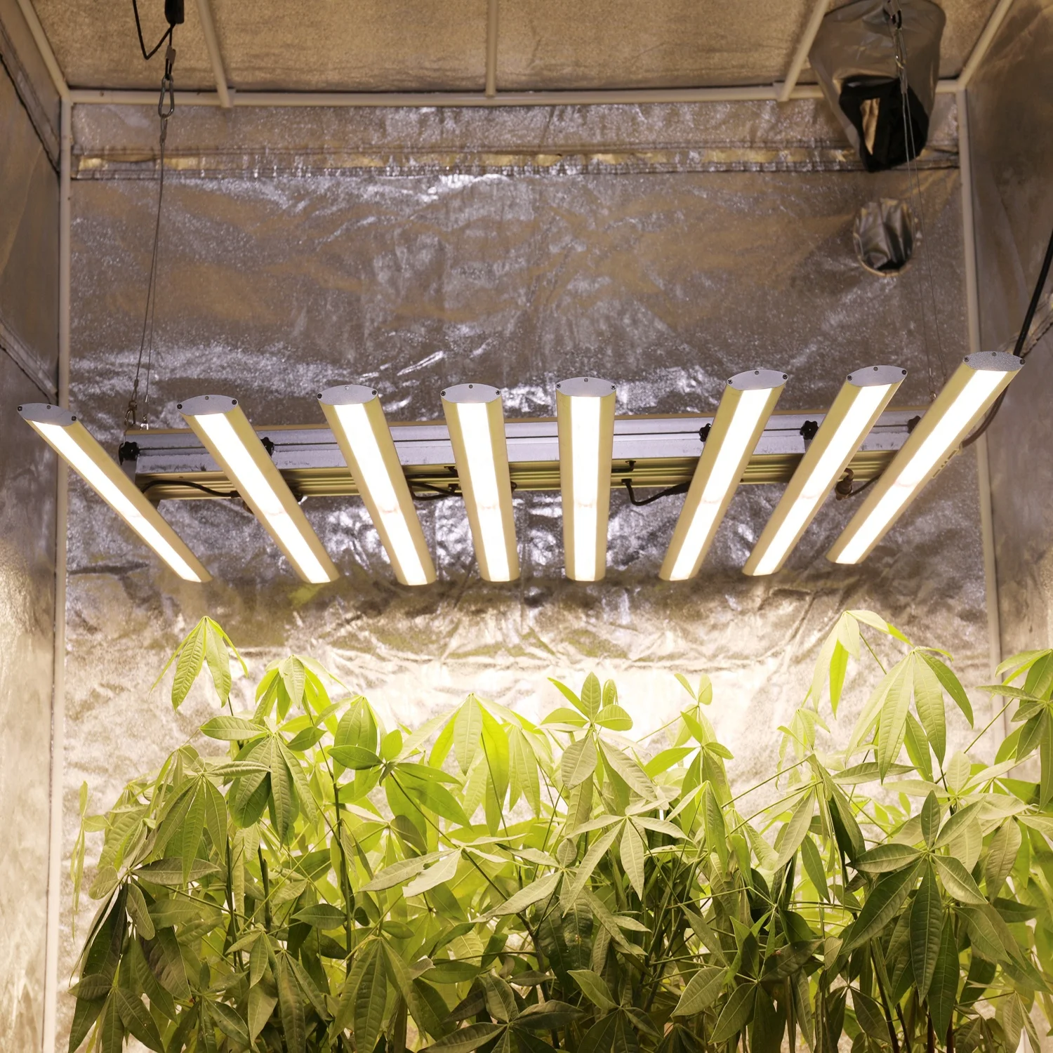 Phlizon 400w 480w 560w 640w boards led grow light bars uv ir Samsung lm561c lm301b