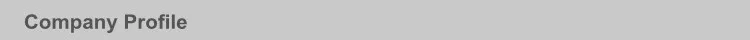 10. Company Profile.jpg