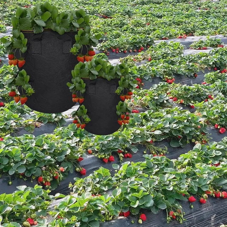 Garden strawberry potato tomato Fabric Plant Grow Bags For Plants Vegetables Tomato Fabric Grow Bags