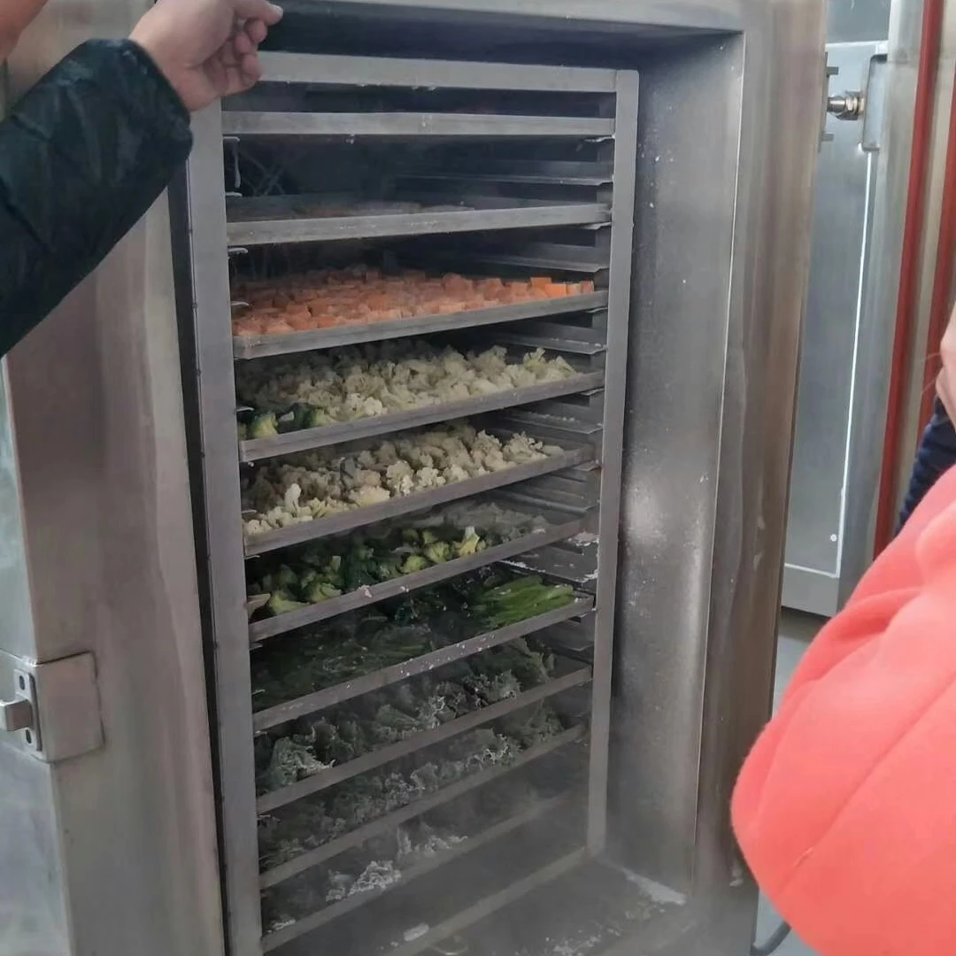 Промышленная морозильная камера для рыбы мяса фруктов овощей по