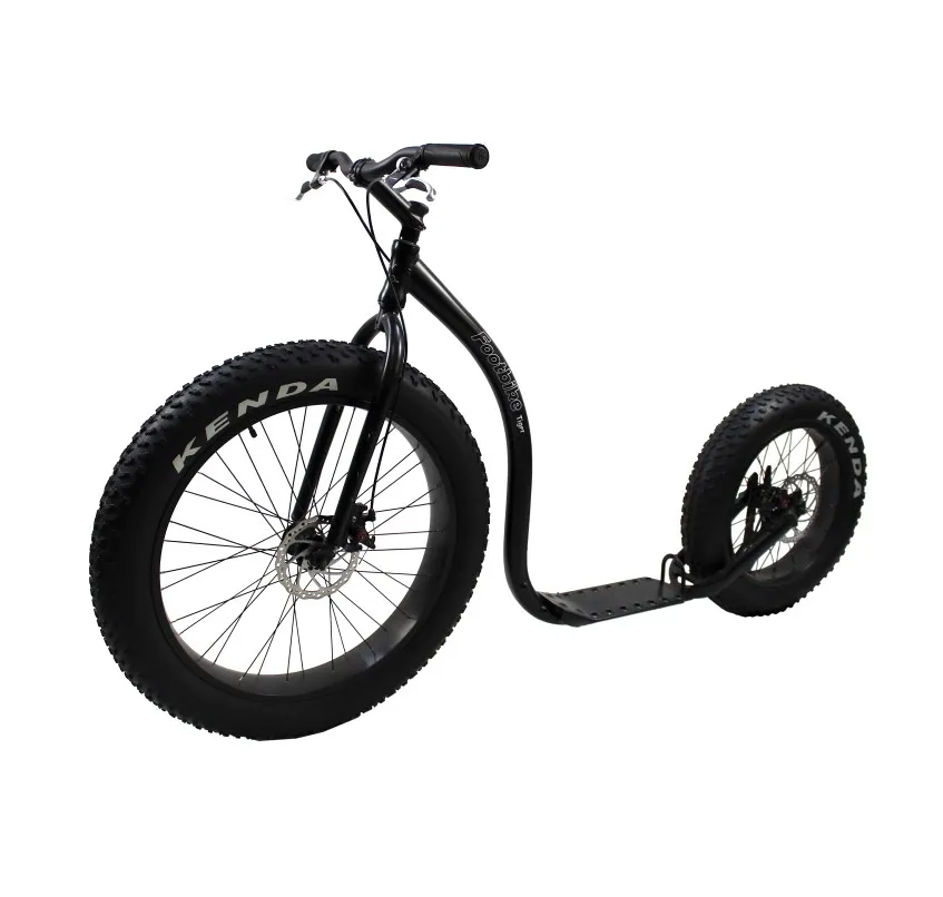 
2020 FAT WHEELS Dog Scooter Bike Low Price 