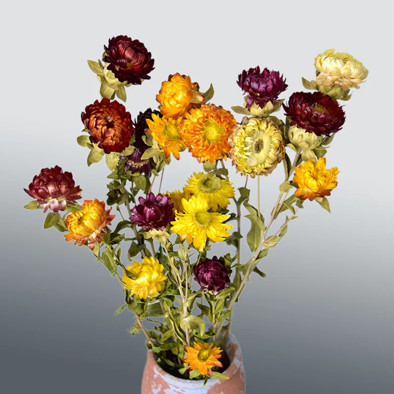 JDFG-64 20pcs Preserved Chrysanthemum Flower Arrangement Dry Plant Daisy Dried Flowers Bouquet Dried Chrysanthemum For Home