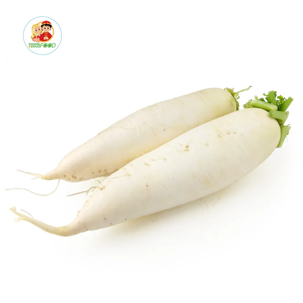 Organic Farms Grow High Quality White Radish Bag Mesh Style Time Cool Color Package Weight Shelf Clean Mode Origin Type Life ISO