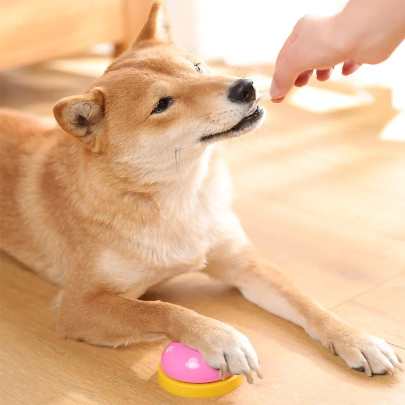 Прямая продажа с завода KIMPETS тренировочная игрушка для домашних животных металлические колокольчики собака интерактивные