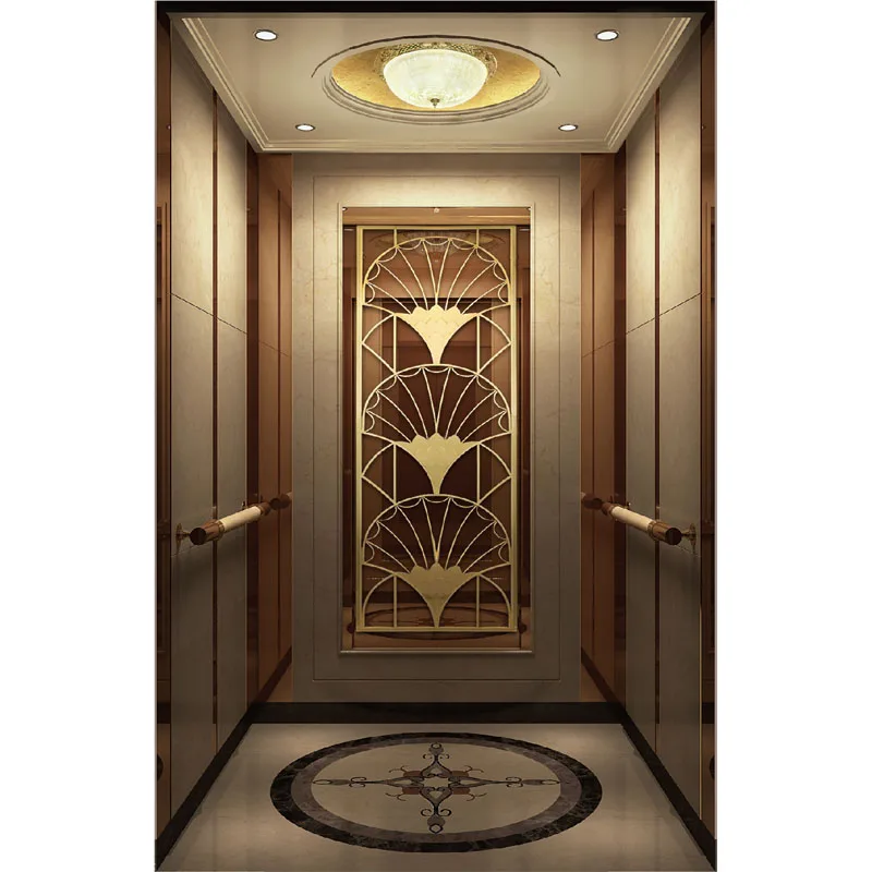 Vvvf Control Delicate Passenger Elevator with CE