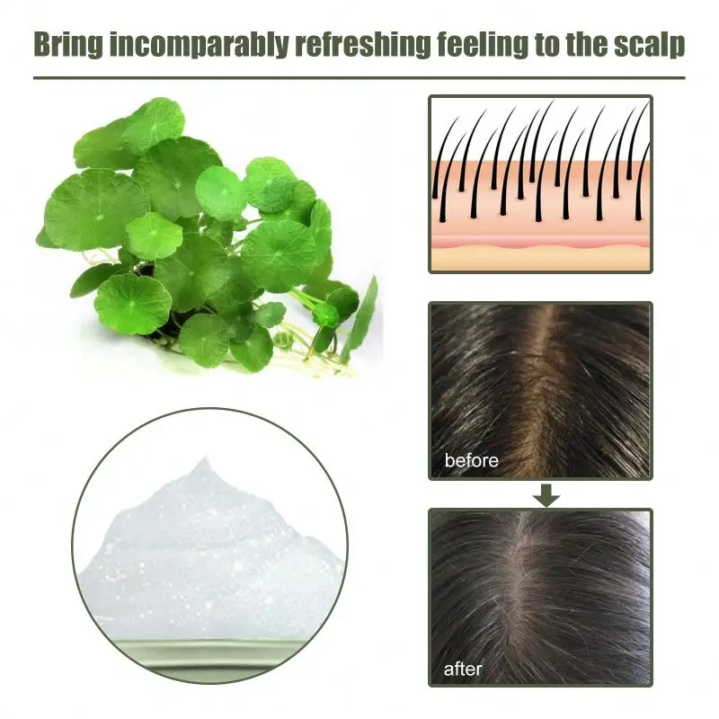 EELHOE OEM ODM Centella Sea Salt Shampoo Nourishes Scalp Oil Control Shampoo Anti Dandruff Anti Itching Shampoo 100g