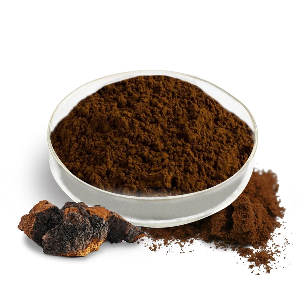 Травяные добавки растительный экстракт Chaga Inonotus Obliquus грибов порошок по лучшей цене