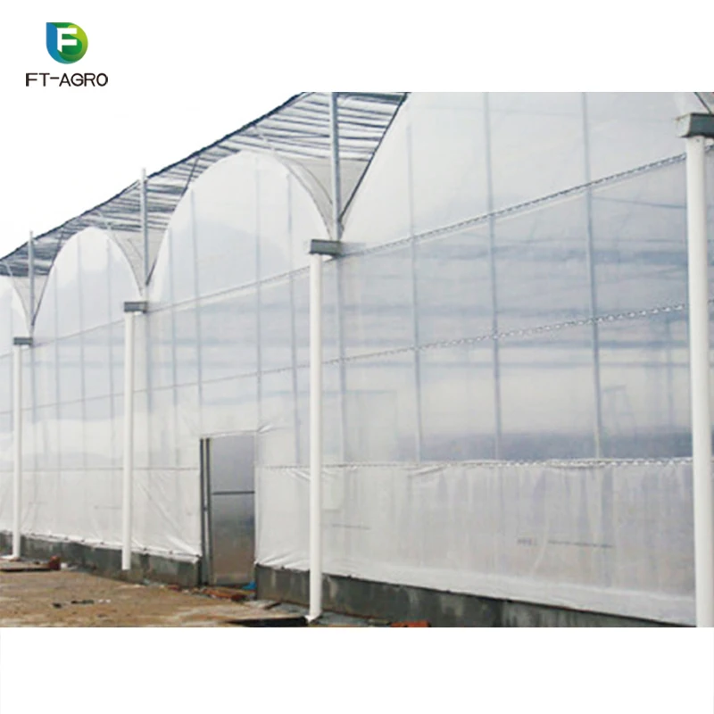 
Multi-span large agricultural plastic film Greenhouse project tomato greenhouse with hydroponic system 