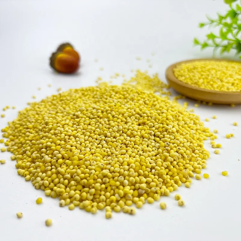 Высококачественный Желтый Просо в шелушке оптовая продажа большой желтый