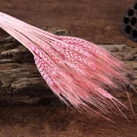 Fall Flower Arrangement Colorful Barley Straw Dried Wheat Flowel barley dried flowers preserved flower barley