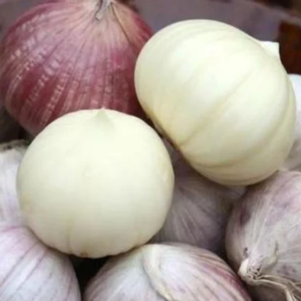
China cheapest garlic 