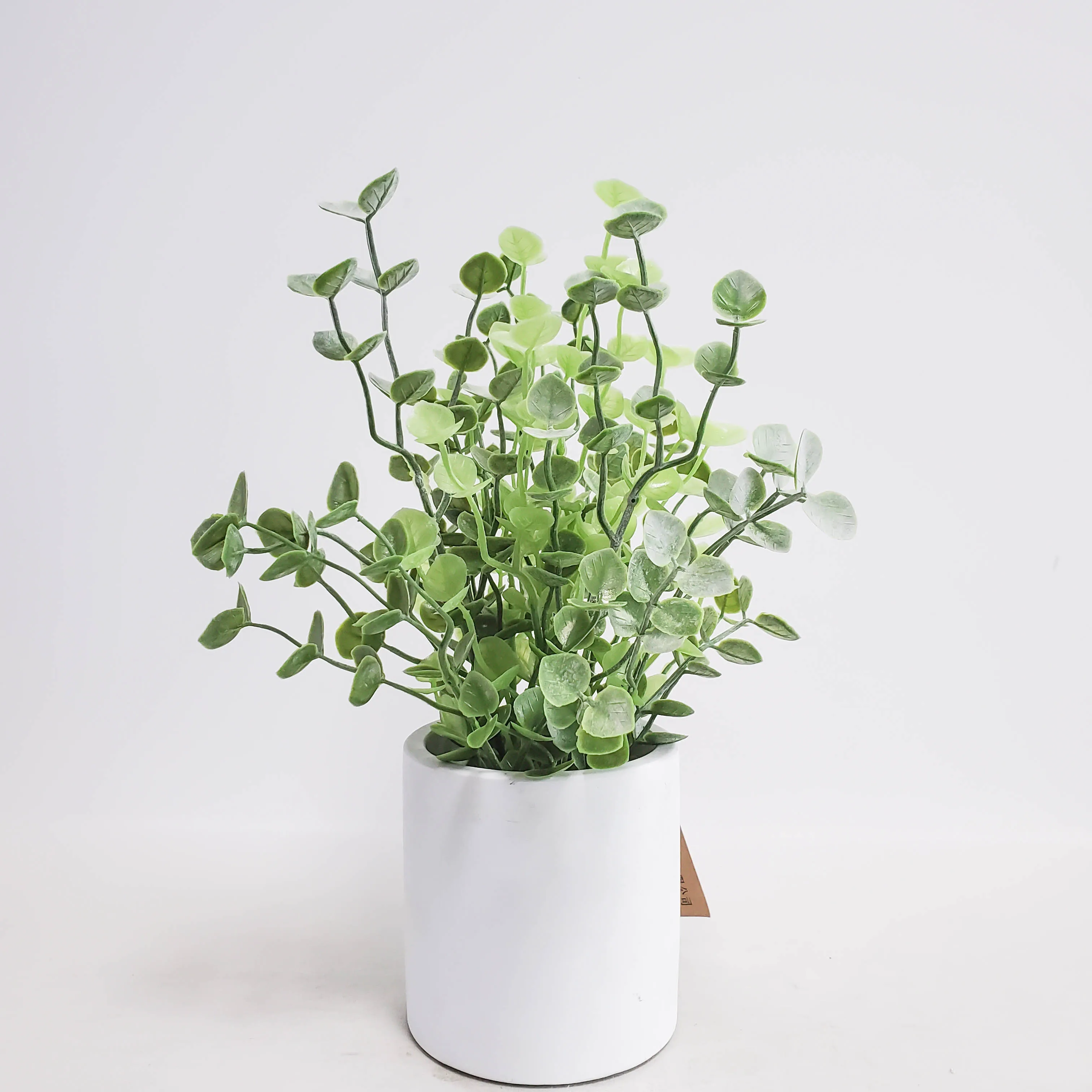 Mini Succulent Plants Artificial Plastic Potted Faux Assorted Plants for HomeTable Decoration