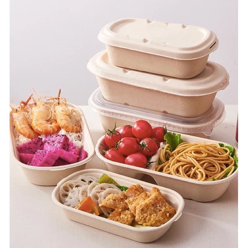 High Quality Wholesale Biodegradable Sugarcane Disposable Plates Lunch Trays Multi Compartments Bagasse Plate
