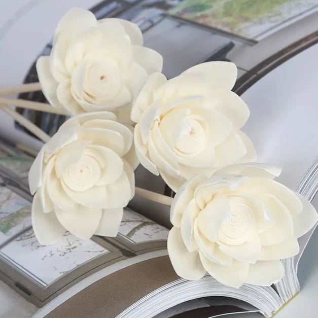 Bambus Dried Reed Diffuse Decorative lotus Customized Scented Oil Sola Wood Flower Reed Diffuser with Cotton Wick