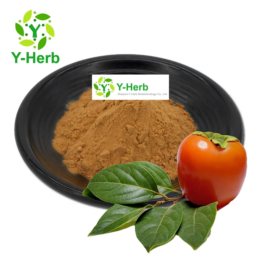 Pure Diospyros Calyx Kaki  Persimmon Leaf Powder 10:1 Caqui/Diospyros Kaki Thunb/Persimmon Leaf Extract
