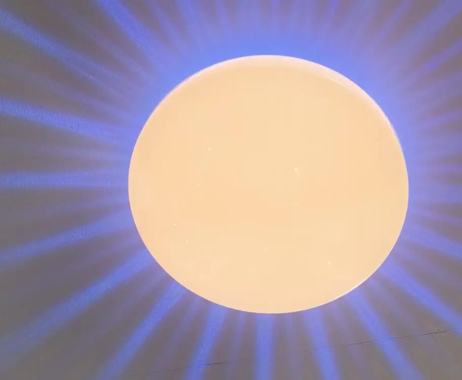 Wholesale Price Big Size D600mm Round Remote Control Lighting LED light Ceiling For Home