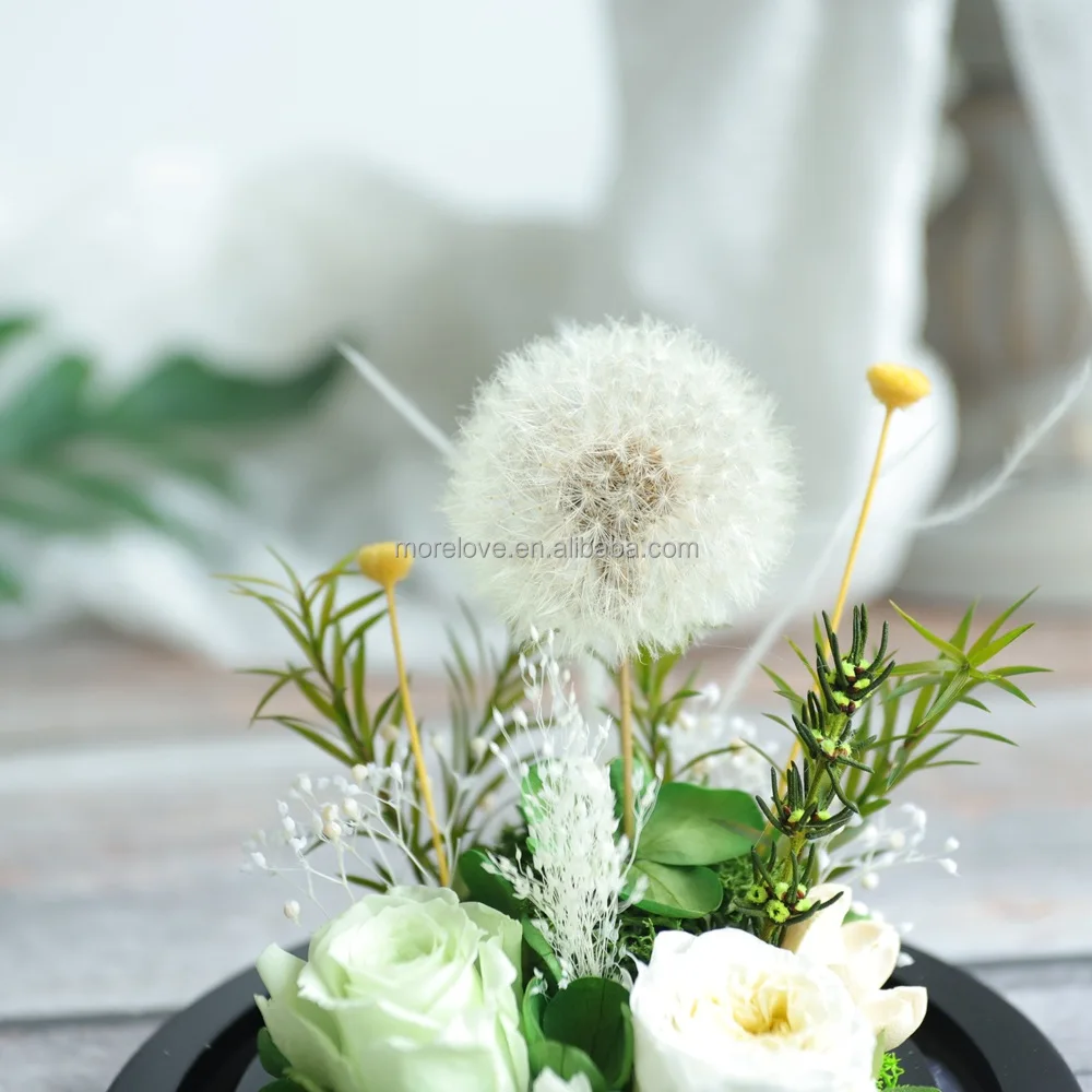 Wholesale preserved Dandelion eternal preserved rose in glass dome for Living Room Decoration Dried Flower Christmas gift