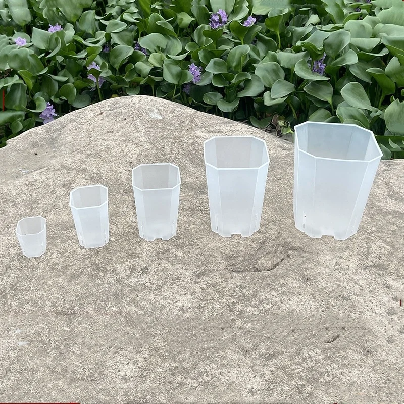 garden supplies cheap plastic gardening clear transparent pot root square octagonal pot orchides 12cm orchid pot plant
