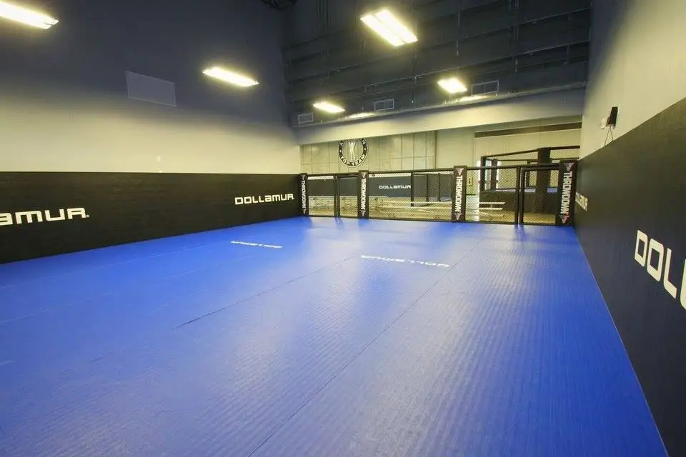 LINYIQUEEN Wall Mat IJF Standard Customized Comfortable Soft Durable for Karate TKD Yoga Judo BJJ Kickboxing