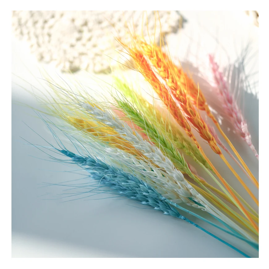 Fall Flower Arrangement Colorful Barley Straw Dried Wheat Flowel barley dried flowers preserved flower barley
