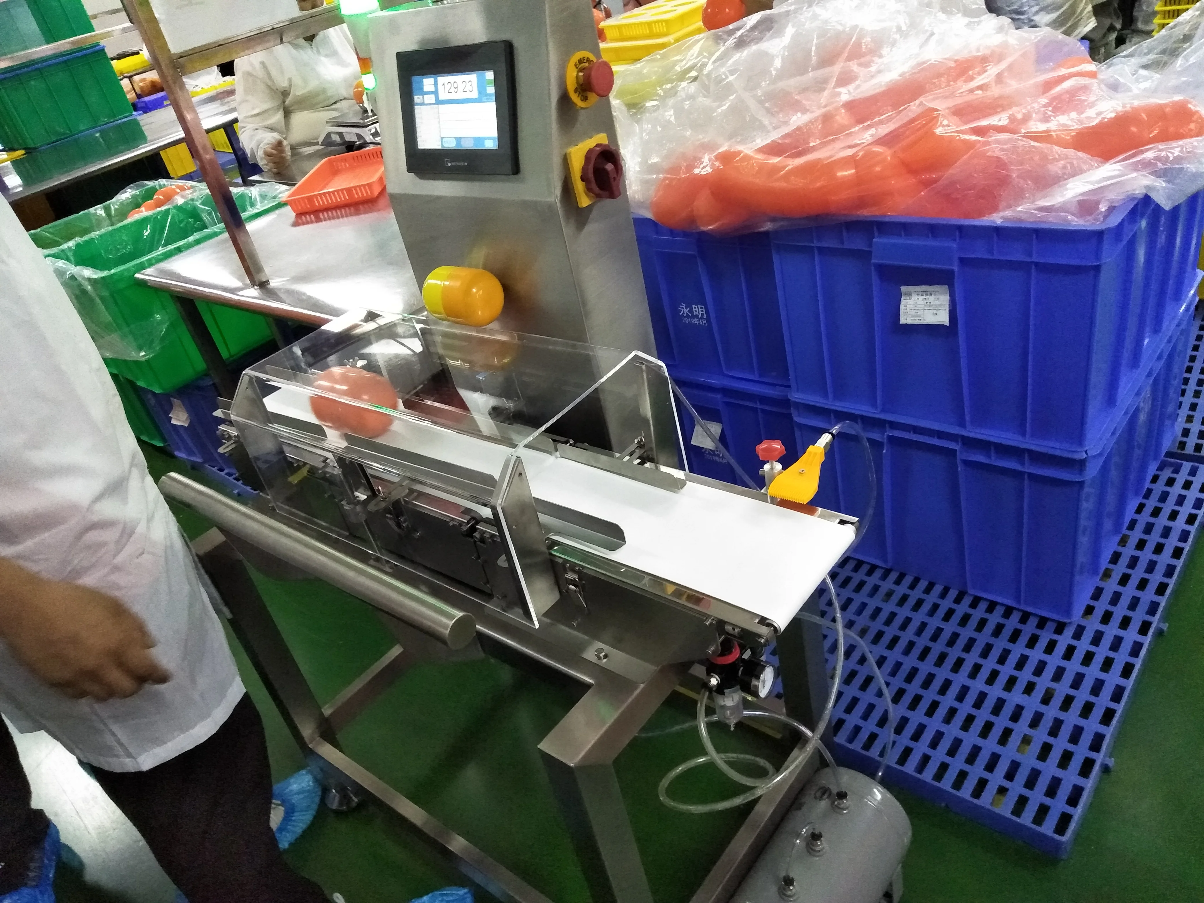 
Industrial Scales Food Processing Line Check Weigher with Conveyor 