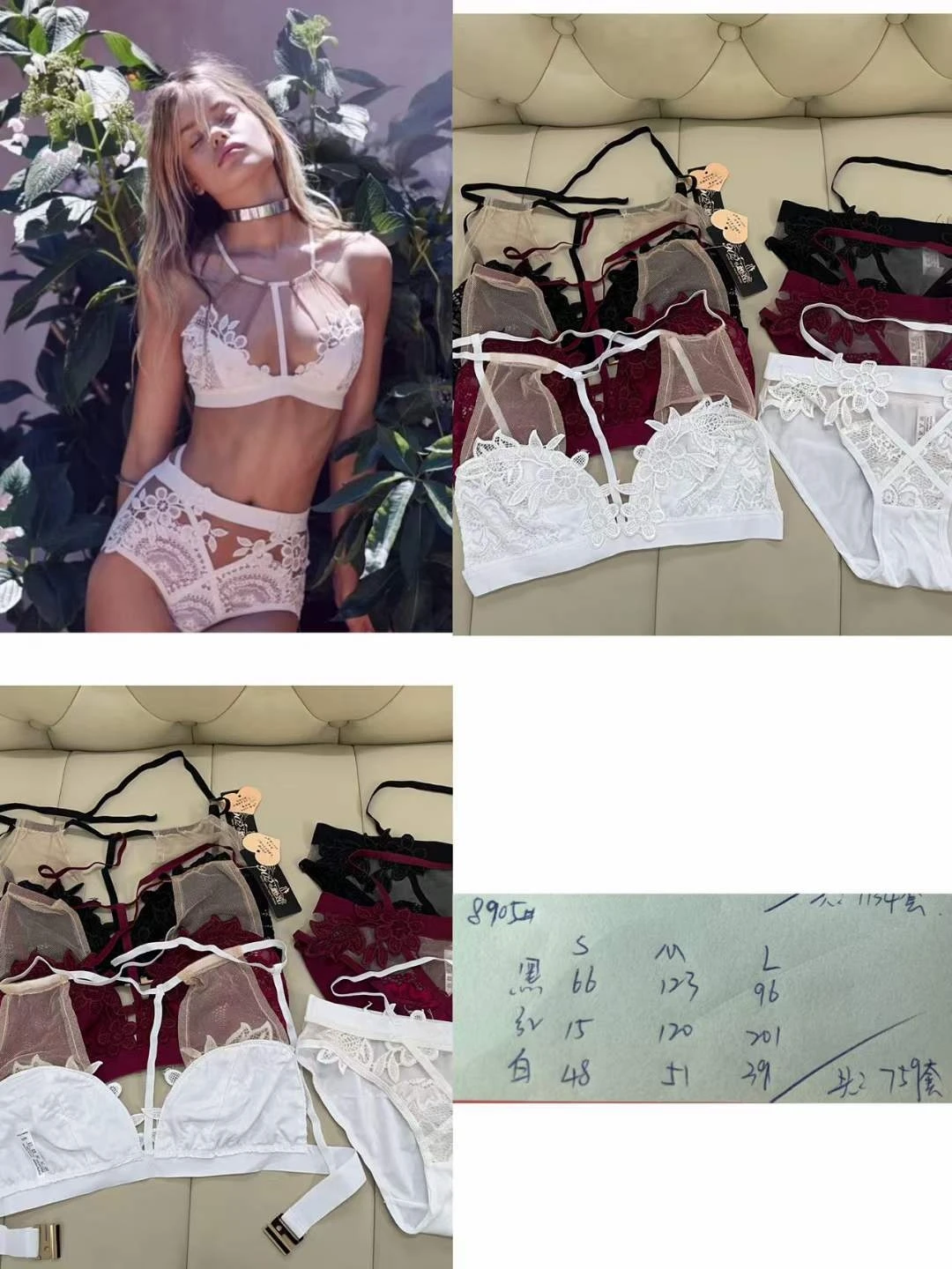 Bra and Panty Set Push-up Lace Sexy Brick Red Transparent Women Underwear Transparent Lace Soft Panties Lingerie Sets