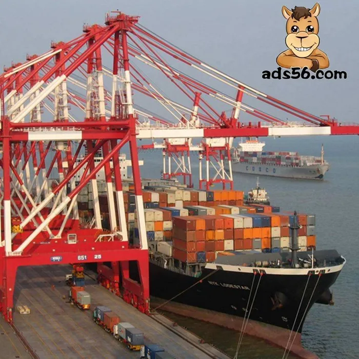 Activated carbon from China DDP Sea  shipping to UAE/Europe/USA door-to-door service