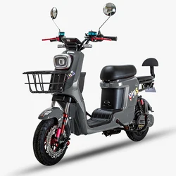 Customized Delivery Food Pizza  Electronic Bicycle with removable battery