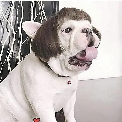 Funny Dog Cat Cosplay Wig,Pet Wigs for Halloween, Christmas, Parties, Festivals, Dog Wigs for Small Medium and Large Dogs