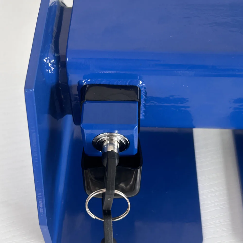 Modern Design Factory Wholesale Heavy Equipment Shipping Container Lock with Two Keys Customizable Colors
