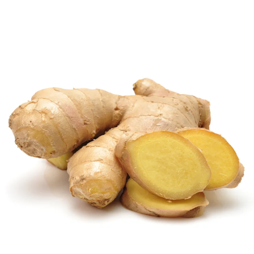 Wholesales New Fresh Ginger 40-600 cm in length Competitive Price Vietnamese Manufacturer Quality Small MOQ Samples Available