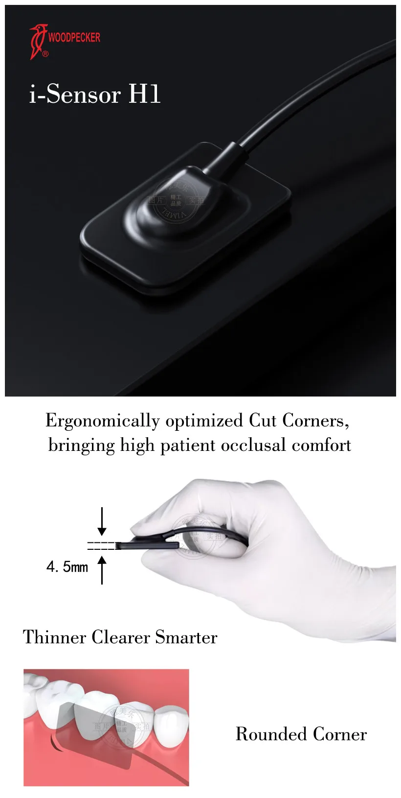 Woodpecker Equipment i-Sensor H1 Intraoral Imaging System Digital Dental Sensor X-Ray Thinner Clearer Smarter Dental Sensor