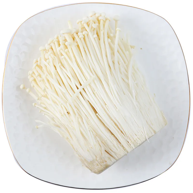 New Product Organic Mushroom Enoki Mushrooms Enoki Golden Needle Mushroom
