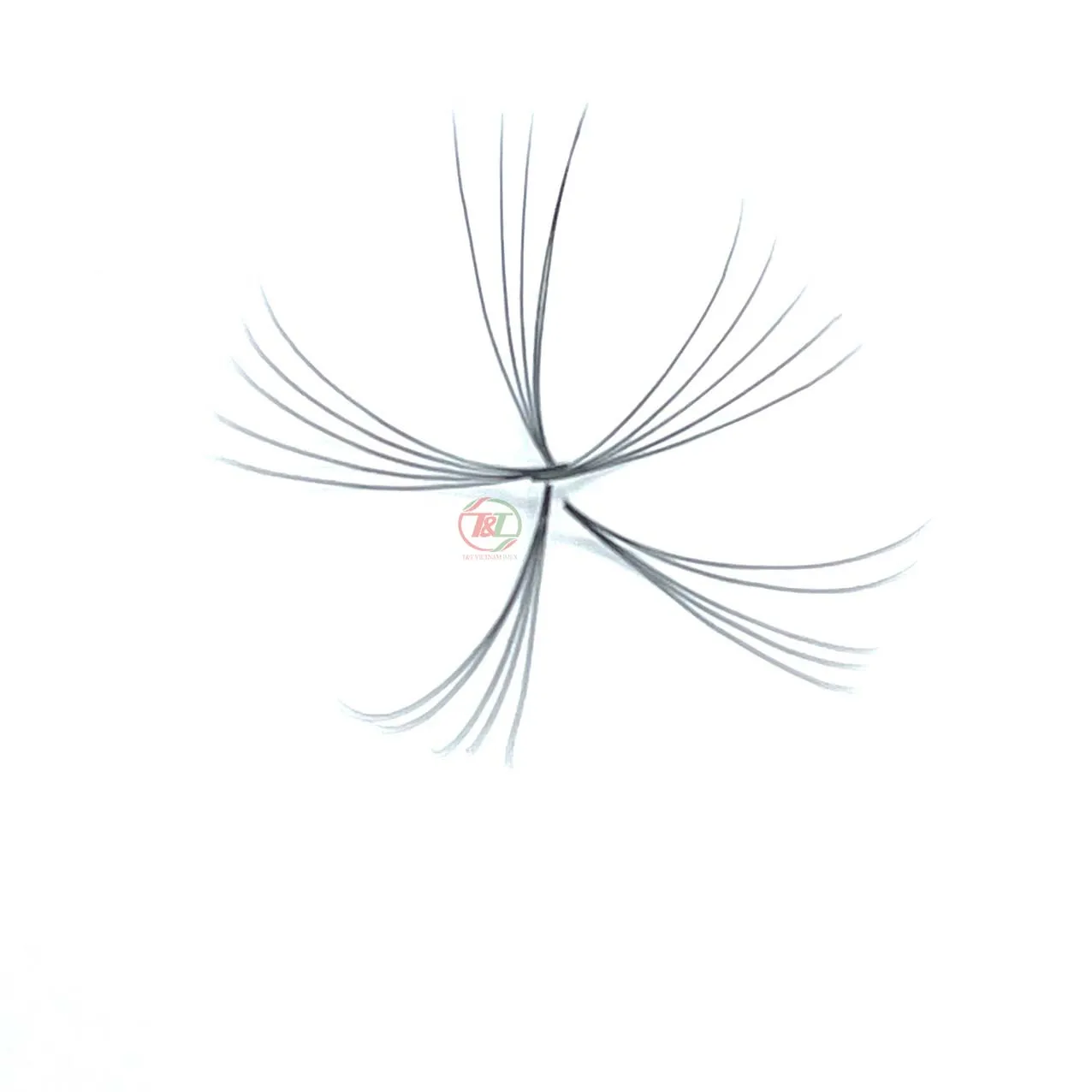 Vietnam factory wholesale good high quality false loose eyelash extensions professional