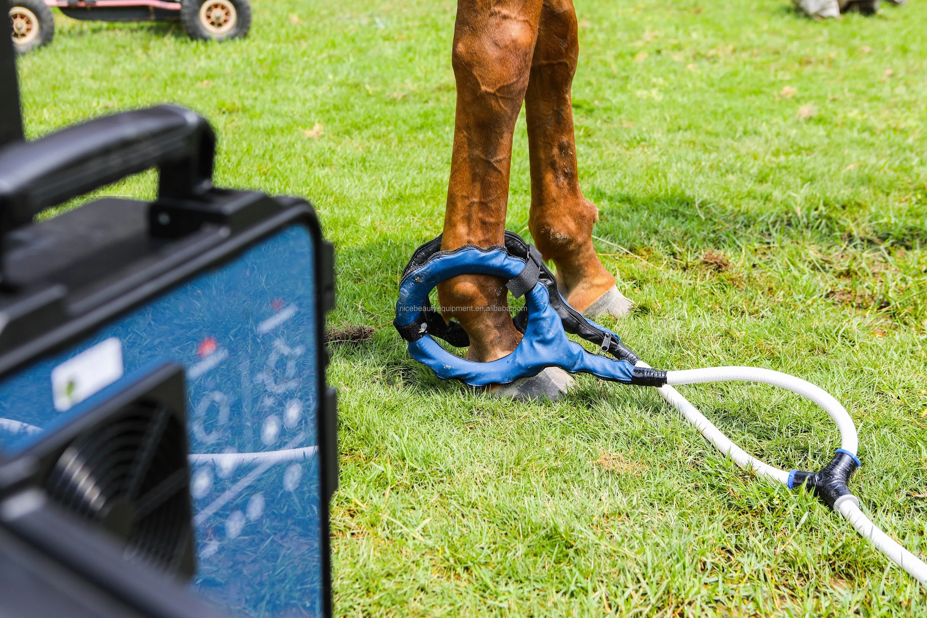 Magnetotherapy therapy PEMF coil electromagnetic device for VET HORSE EQUINE ANIMAL