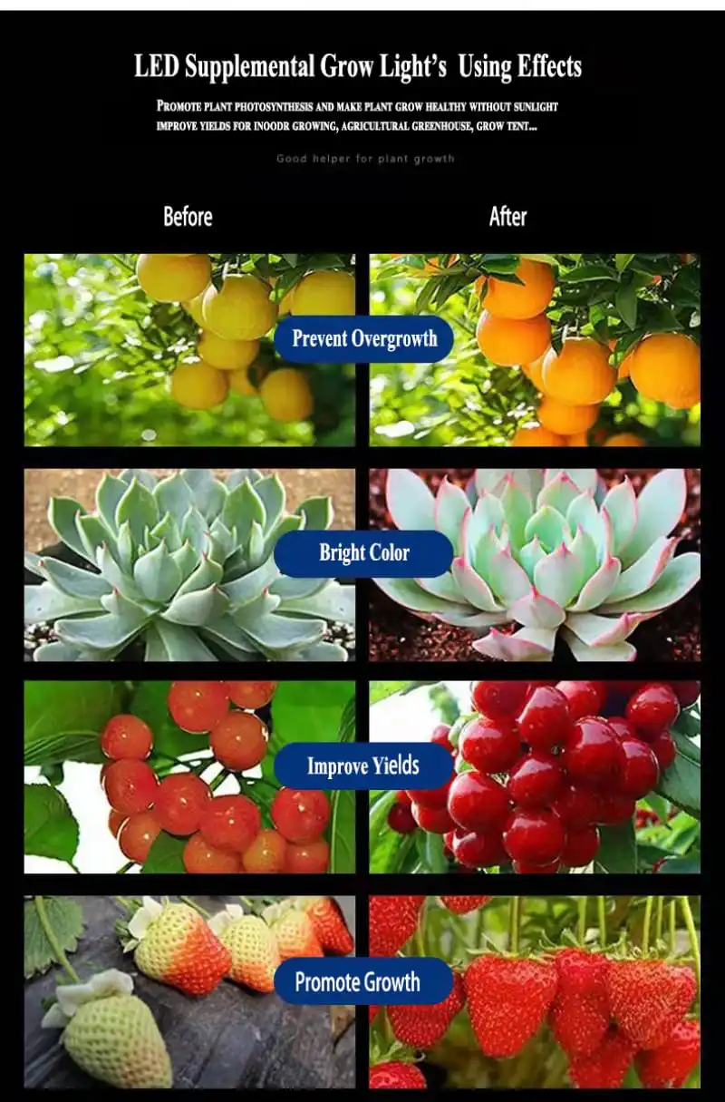 UFO 100W Grow Light (10)