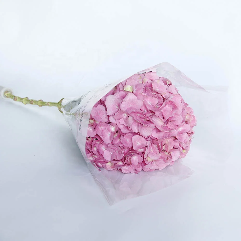 New Arrival Fresh Cut Flowers Hydrangea From Kunming Dounan for Wreath Decoration Ornamental Plants