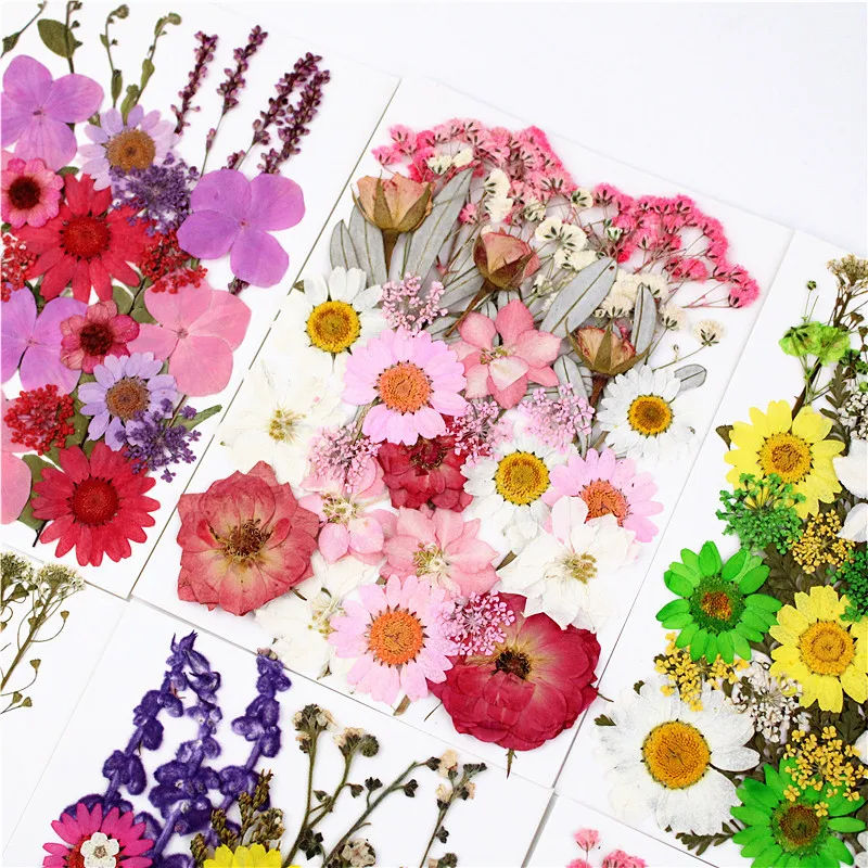 Factory wholesale price dried pressed flowers for resin dried flowers for epoxy resin