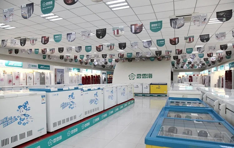 BD-178 Snowsea Commercial Refrigerator Deep Chest Freezer