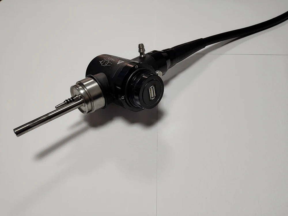 USB option video gastro-colonoscope for horse