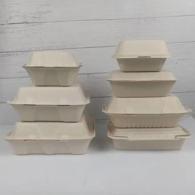 disposable Pulp paper Takeaway board lunch Food box Container