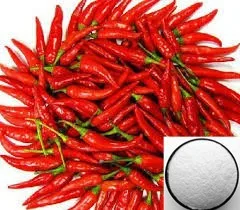 chili pepper extract capsicum capsaicin 98% cosmetic pharmaceutical grade