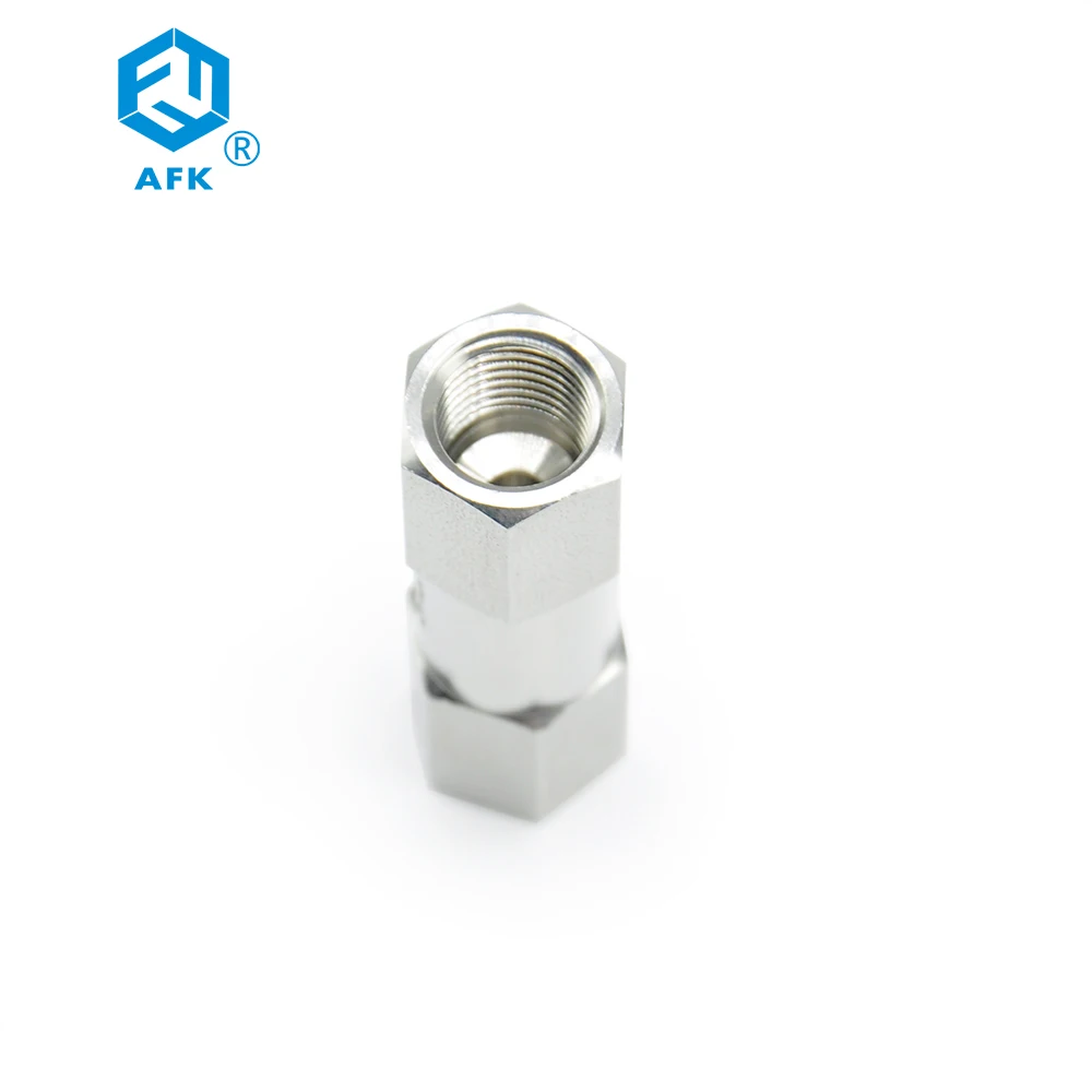 Check Valve and Female Npt High Pressure Air Non Return Valve,spring 1/8 1/2 1/4 Gas Standard
