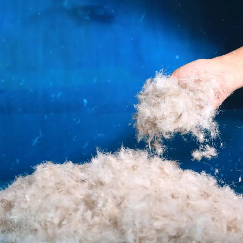 Custom Pillow Insert Down Material Filler Washed White/ Grey Duck Down 2021