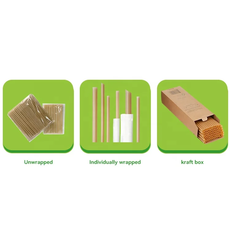 BIOSANO 6mm 8mm 10mm 12mm Sugarcane Bagasse Straws Biodegradable Plastic Free Eco-Friendly Compostable Drinking Shakes Straw